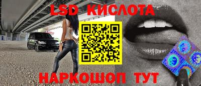 прущие крисы Гатчина
