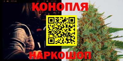 прущие крисы Гатчина