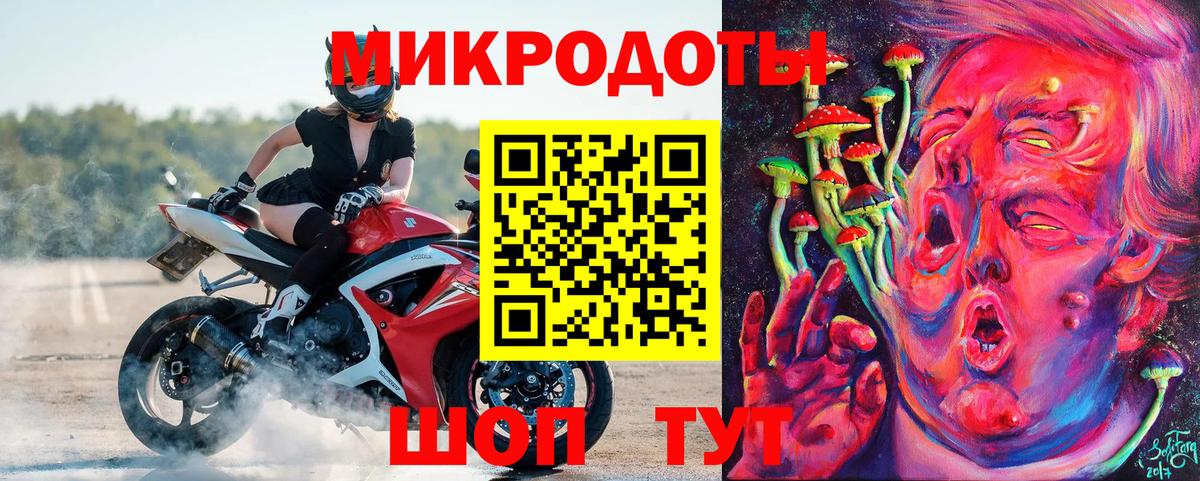Псилоцибиновые грибы Psilocybe Минусинск