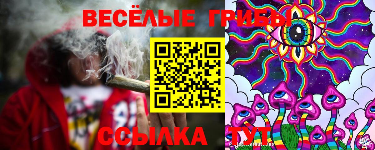 Галлюциногенные грибы Magic Shrooms  Псилоцибиновые грибы прущие грибы  Минусинск  Вход с VPN 